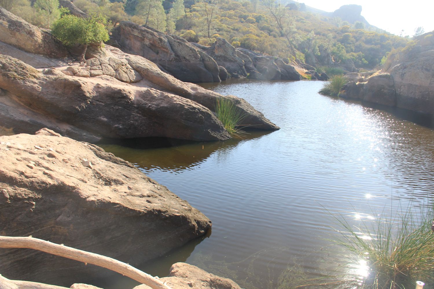 Bear Gulch Cave Trail 